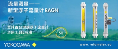 RAGN浮子流量計(jì)
